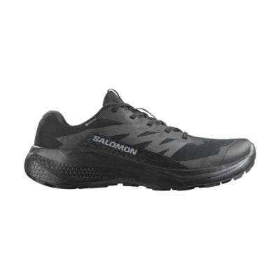 SALOMON ALPHAGLIDE GORE-TEX ERKEK OUTDOOR AYAKKABI L47802100 - 1