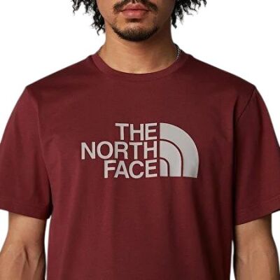 THE NORTH FACE M SS EASY TEE ERKEK TİŞÖRT NF0A8A6C58C1 - 4